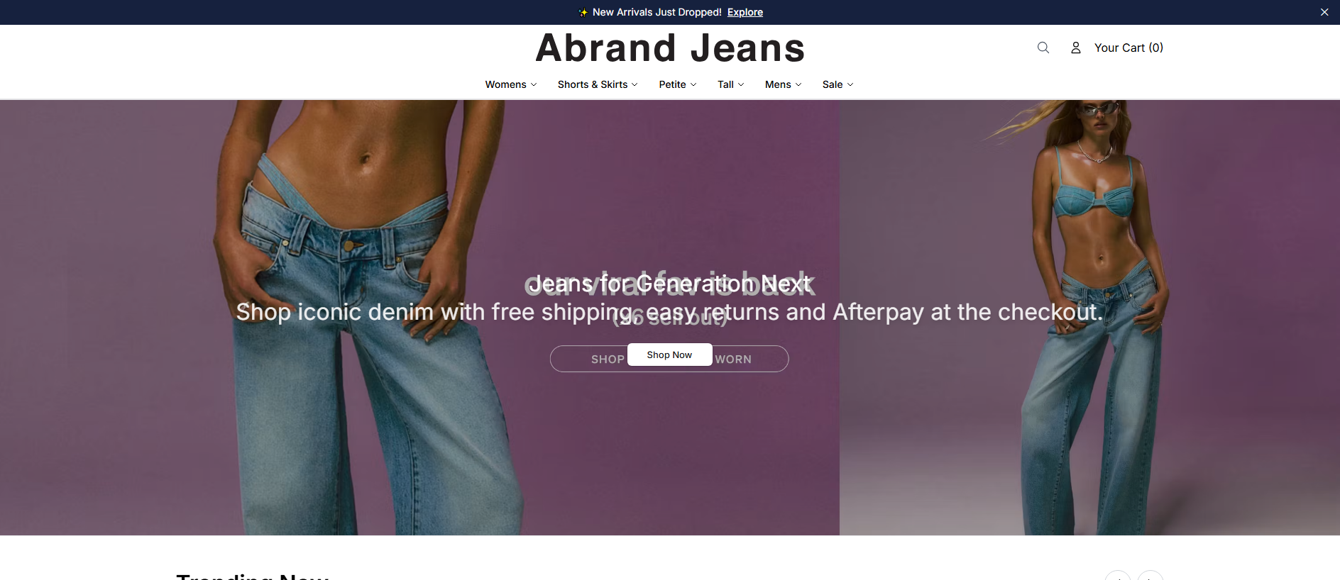 Stored capture of abrandjeansonline.shop