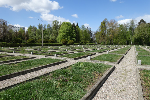 DSC08104.jpg