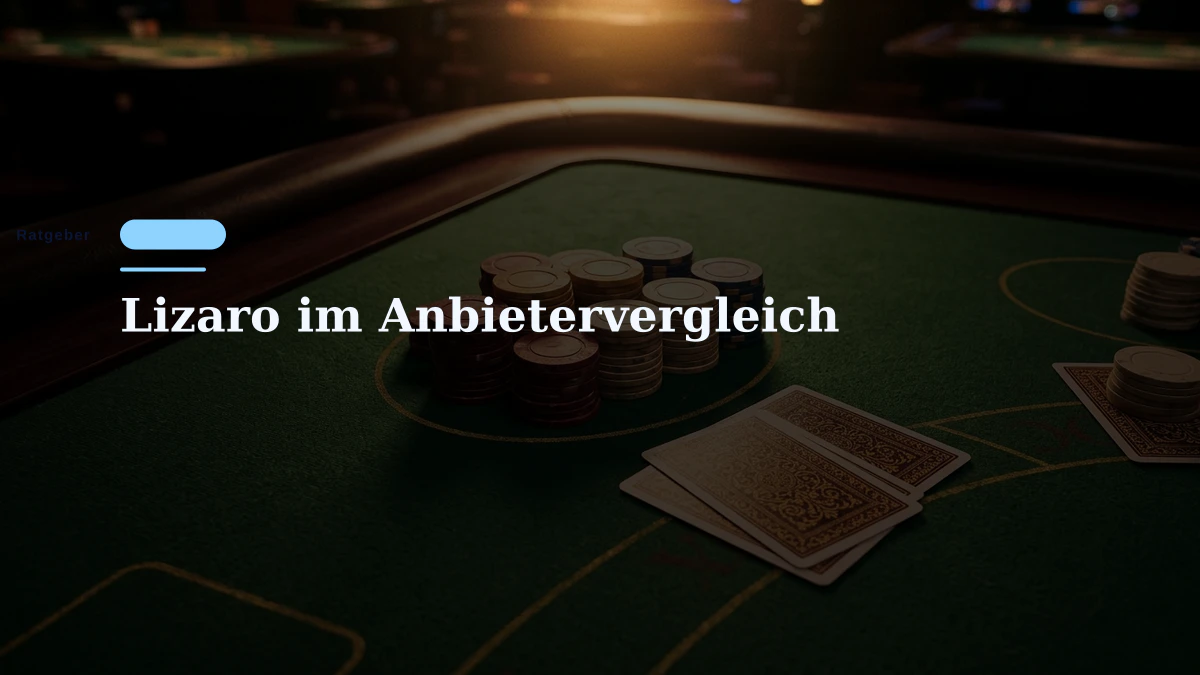 Lizaro im Anbietervergleich