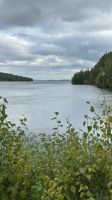 IMG 5793.jpg