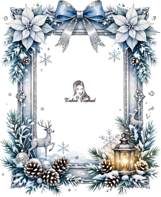 Image5.png