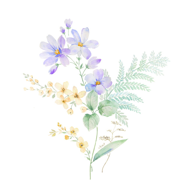 shutterstock 2454998133.jpg