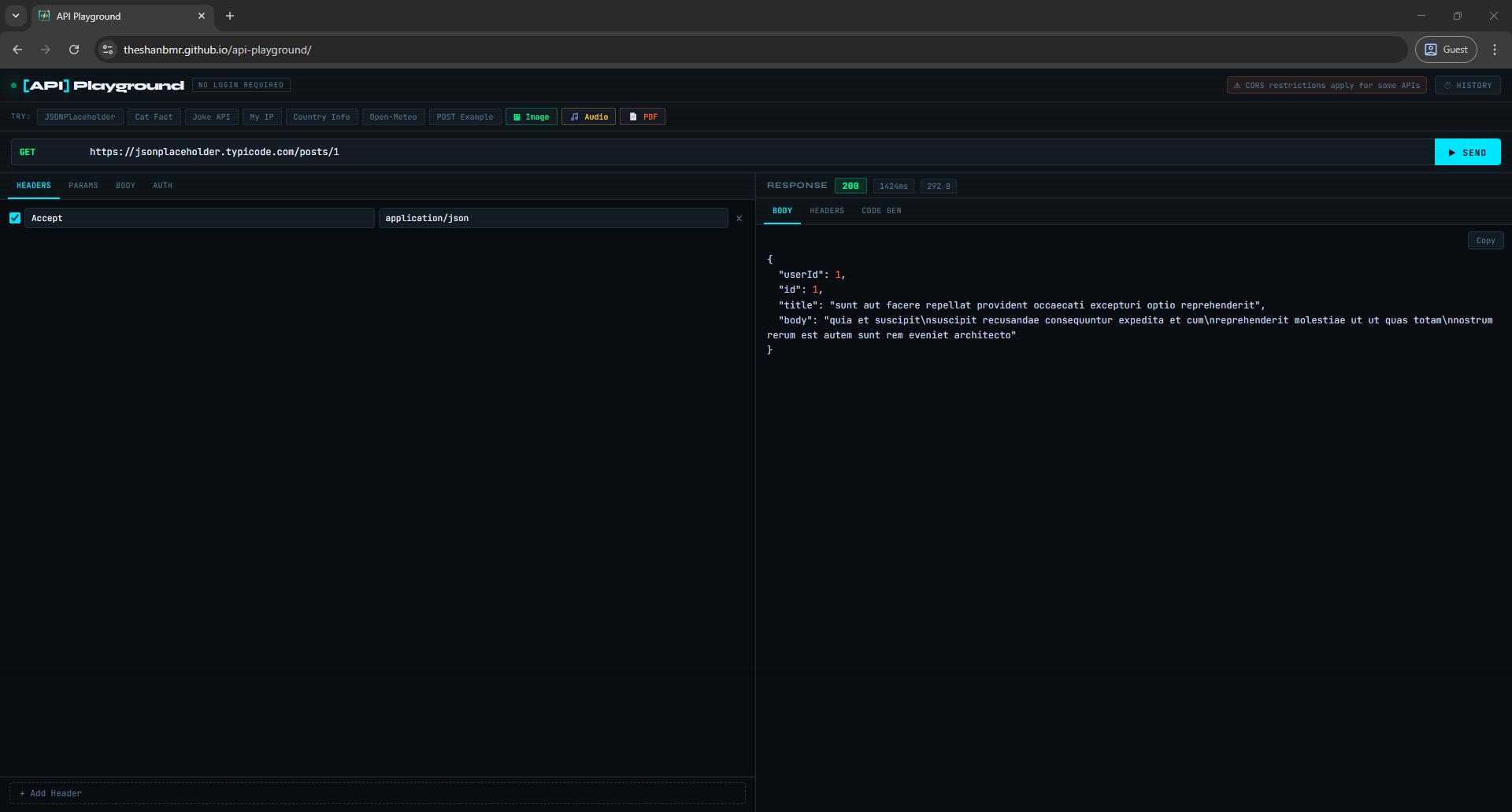 API Playground Screenshot