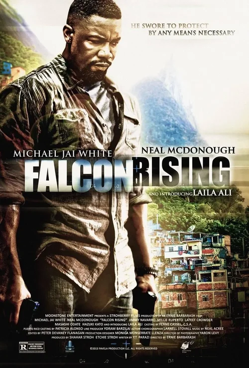 Zemsta Sokoła / Falcon Rising (2014) PL.480p.BDRip.XviD.AC3-ELiTE / Lektor PL