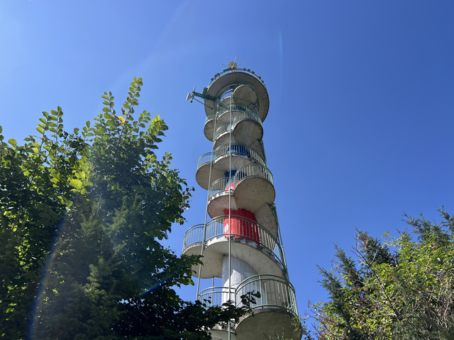 IMG-2226.jpg