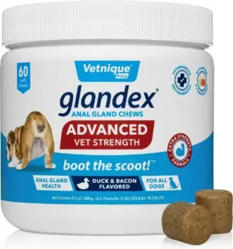 Anal Gland Relief for Dogs