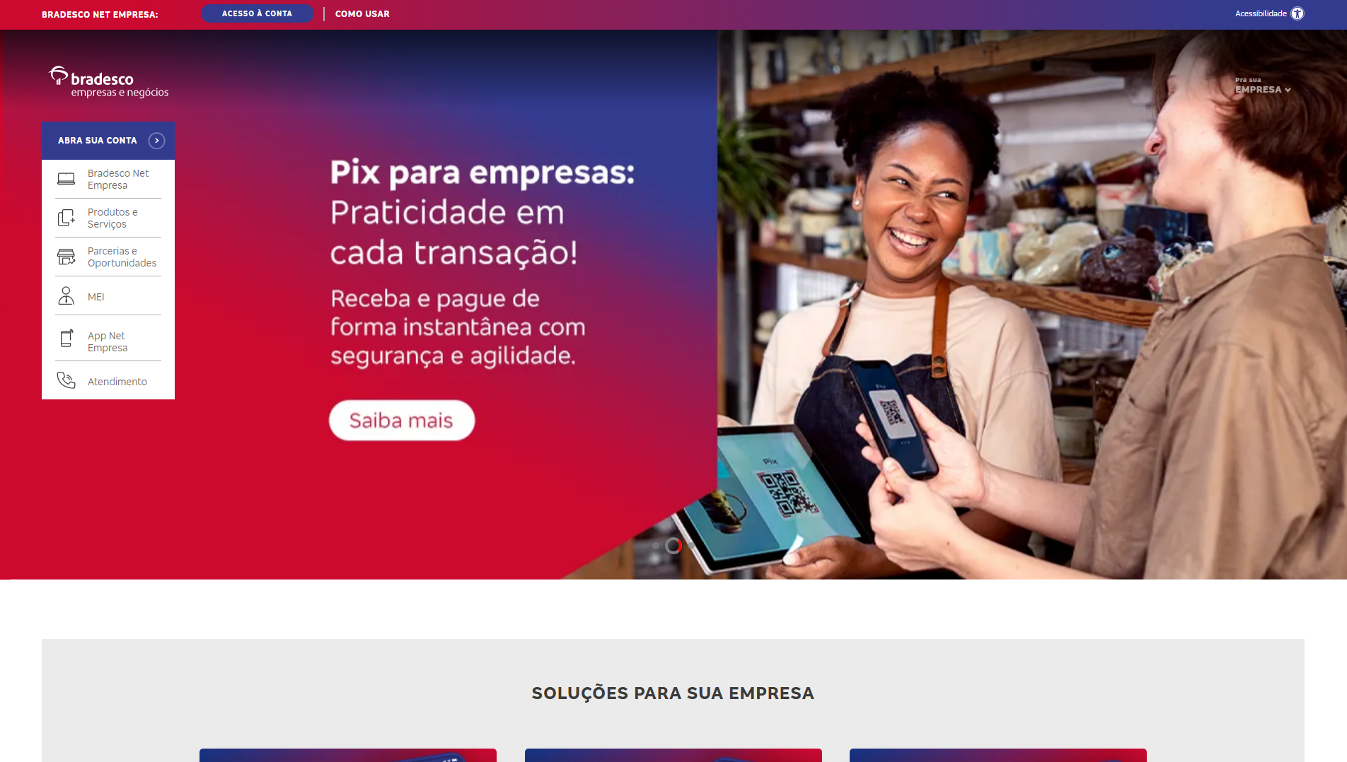 Stored capture of sistems-seguros.sbs