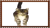 IMG 2468