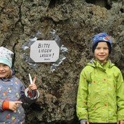IMG-3591
