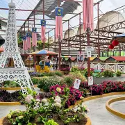 Kea Market22