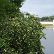 DSC06234-5