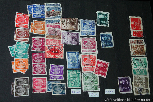 IMG-6987.jpg