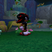Ball-chase