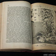 IMG-7136