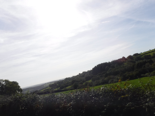 DSCF5523.jpg