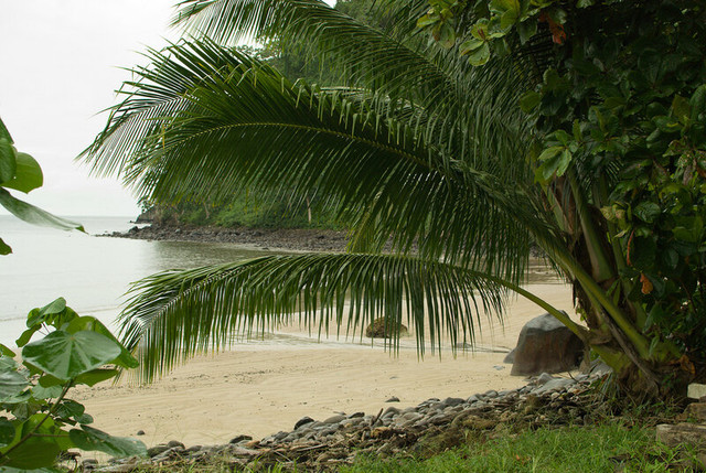 Cocos-Island