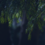 3000.png