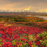 Alaska