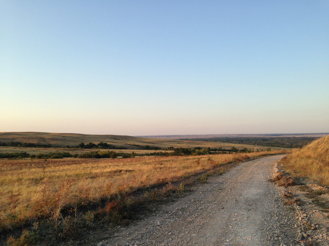 IMG-4208.jpg
