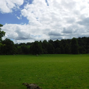 DSCF6081