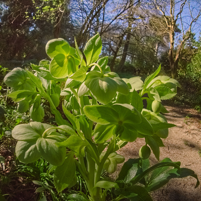 P1010265.jpg