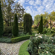 IMG-0648