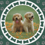 puppies.png