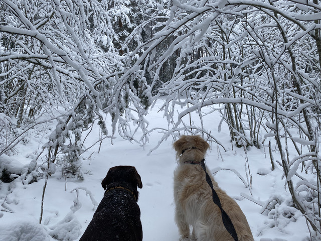 E71-C11-C8-4-CB5-47-F6-A852-A06-E0-F25-F