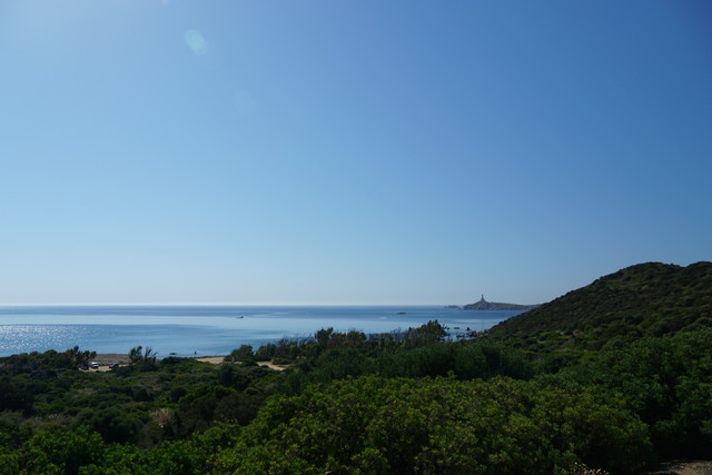 DSC08389.jpg