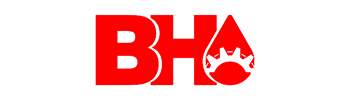 BH Hidráulica Logo