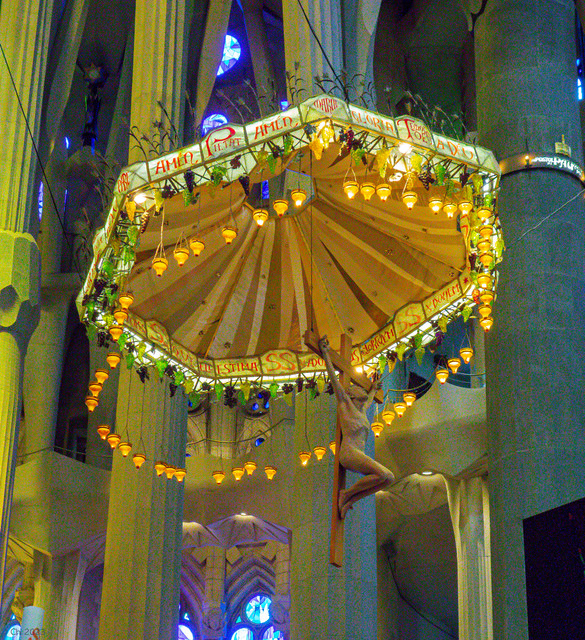 DSC01698.jpg