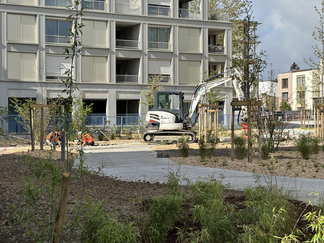 IMG 3450