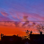 IMG 4628