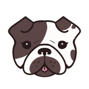 Daisy Face Color