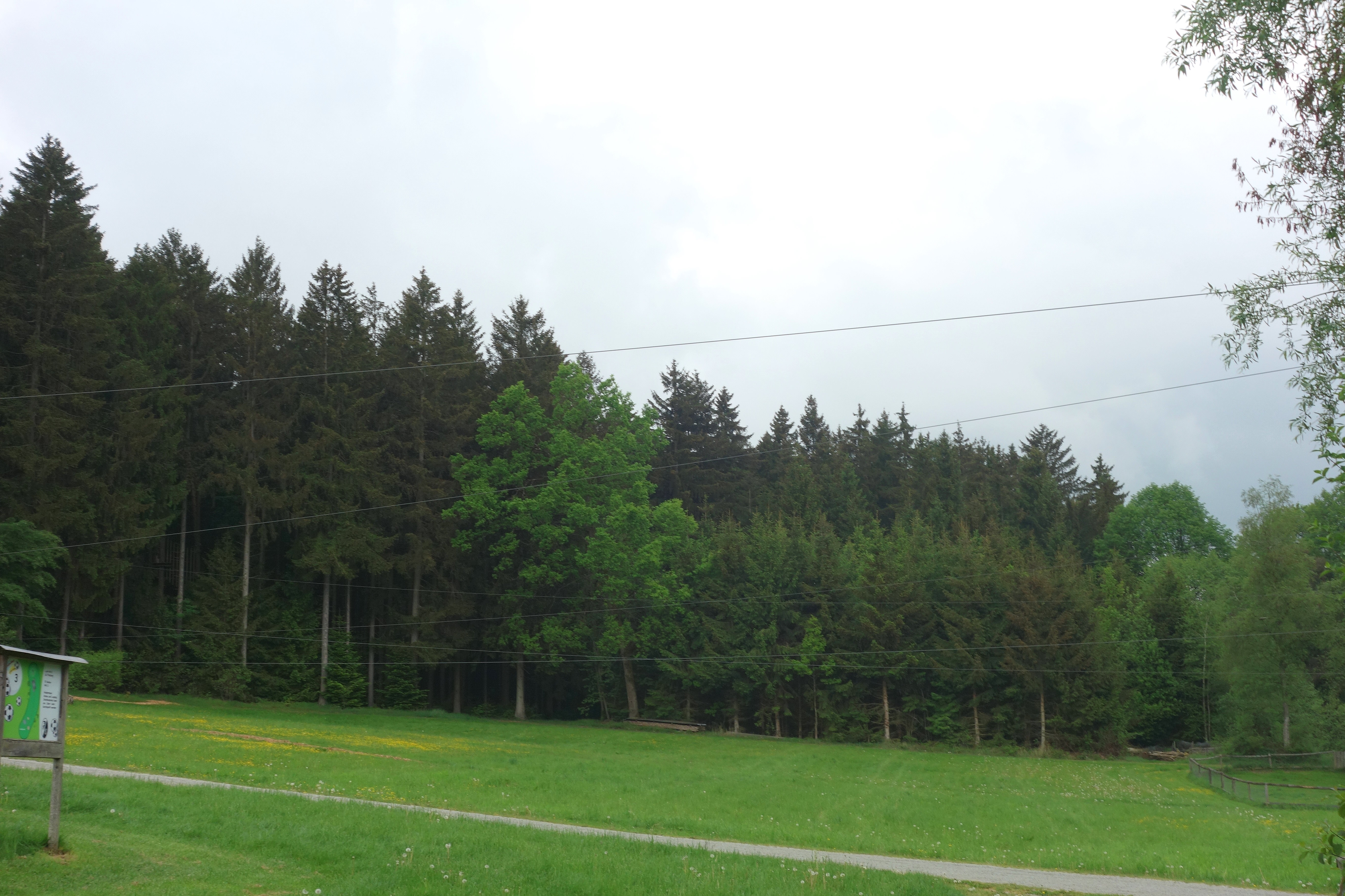 DSC07906