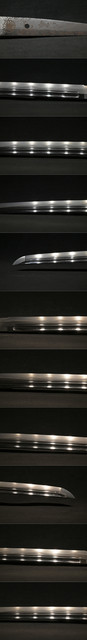 DSC1380.jpg