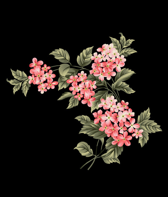 shutterstock 1583034901.jpg