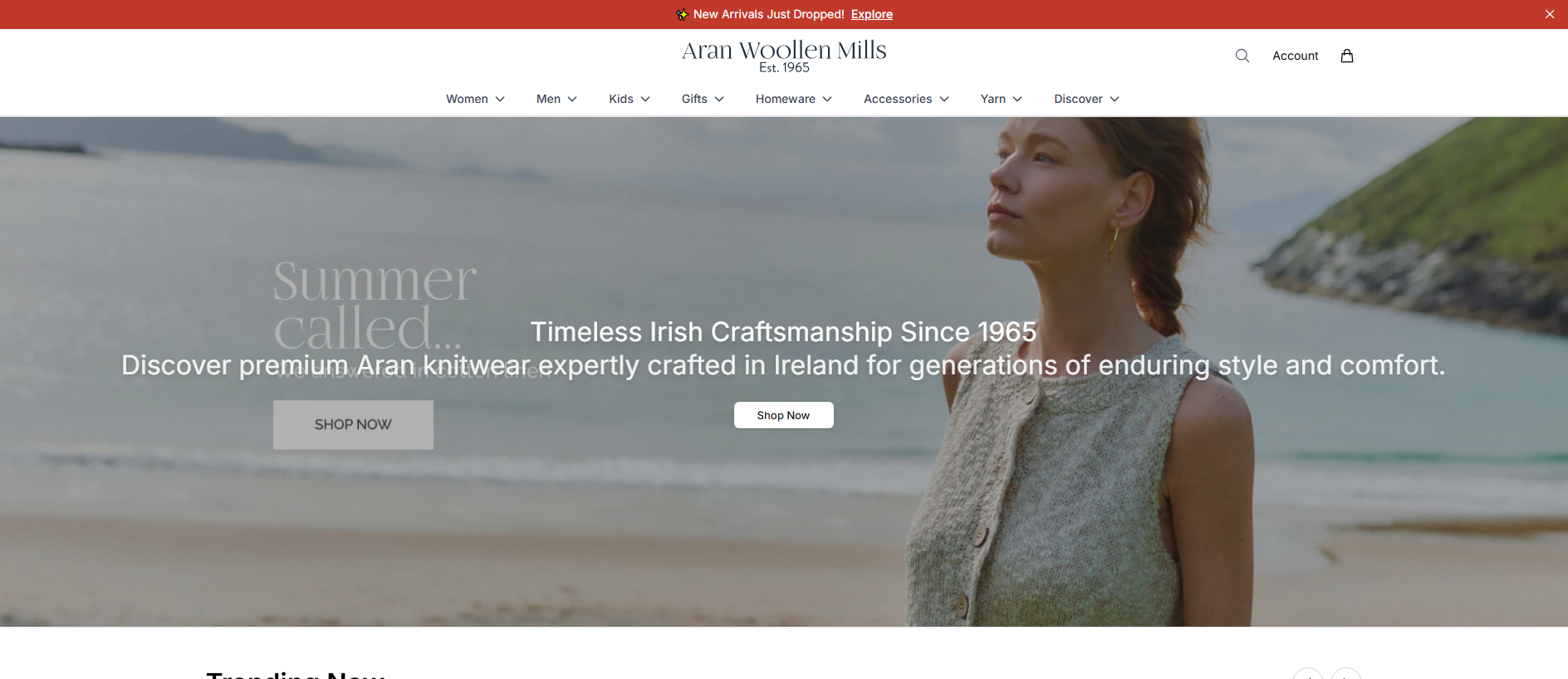 Stored capture of aranwoollenmillsshop.shop