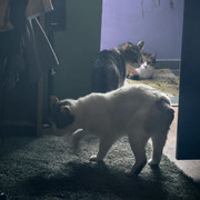 IMG-20250510-065841