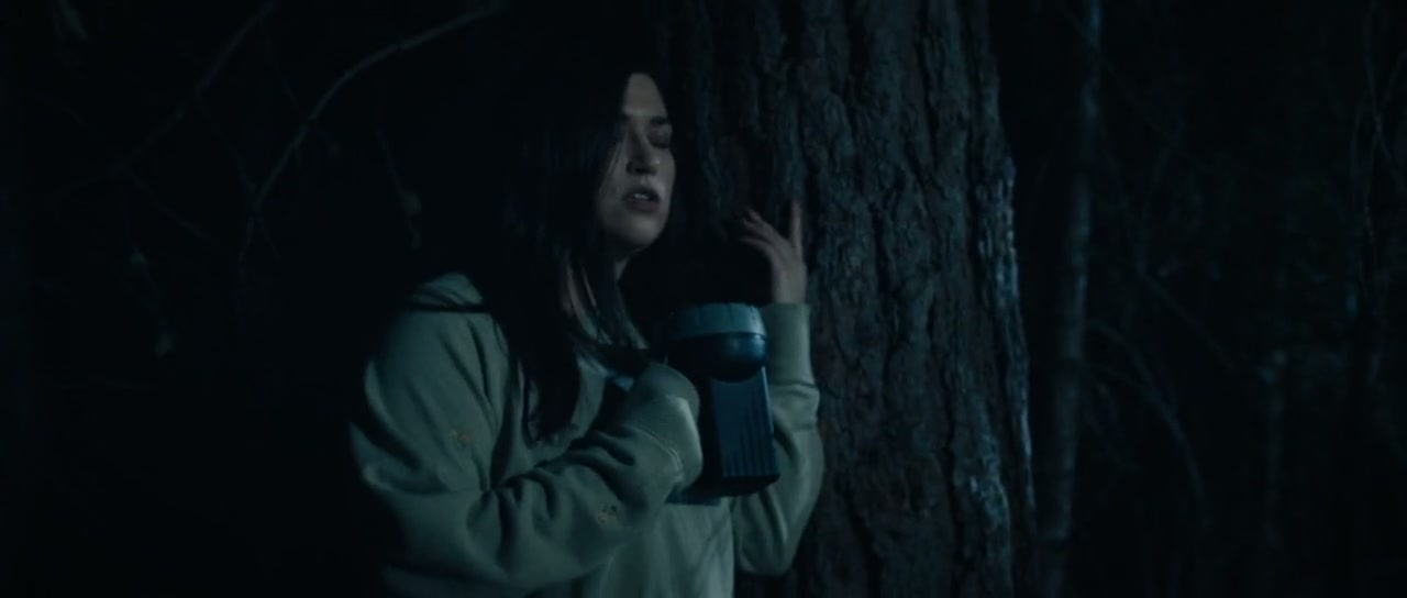 Stranger in the Woods Screenshot