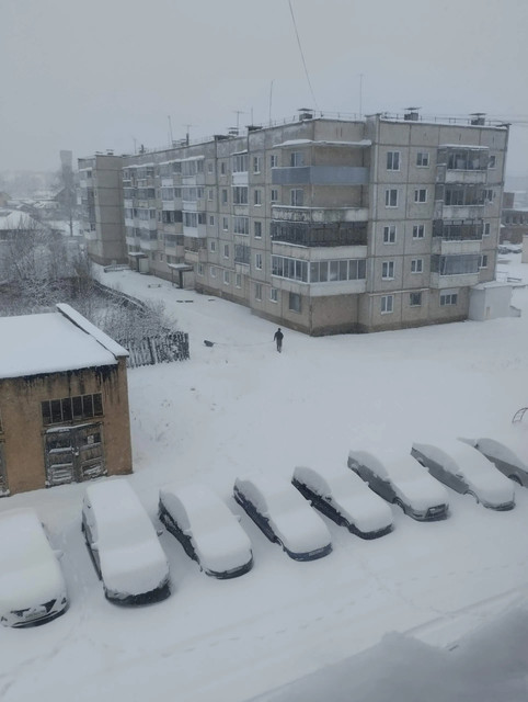тоьнеоеное