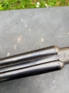 [Linked Image from i.ibb.co]