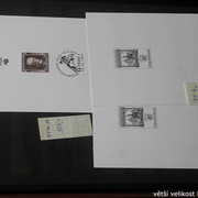 IMG-2394