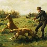 Exercising Greyhounds
