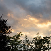 L1030801