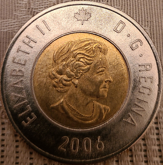 Counterfeit-Toonies-Are-Going-To-Be-A-Significant-Problem