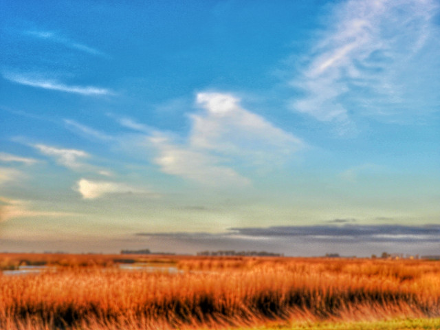 DSCN4841.jpg