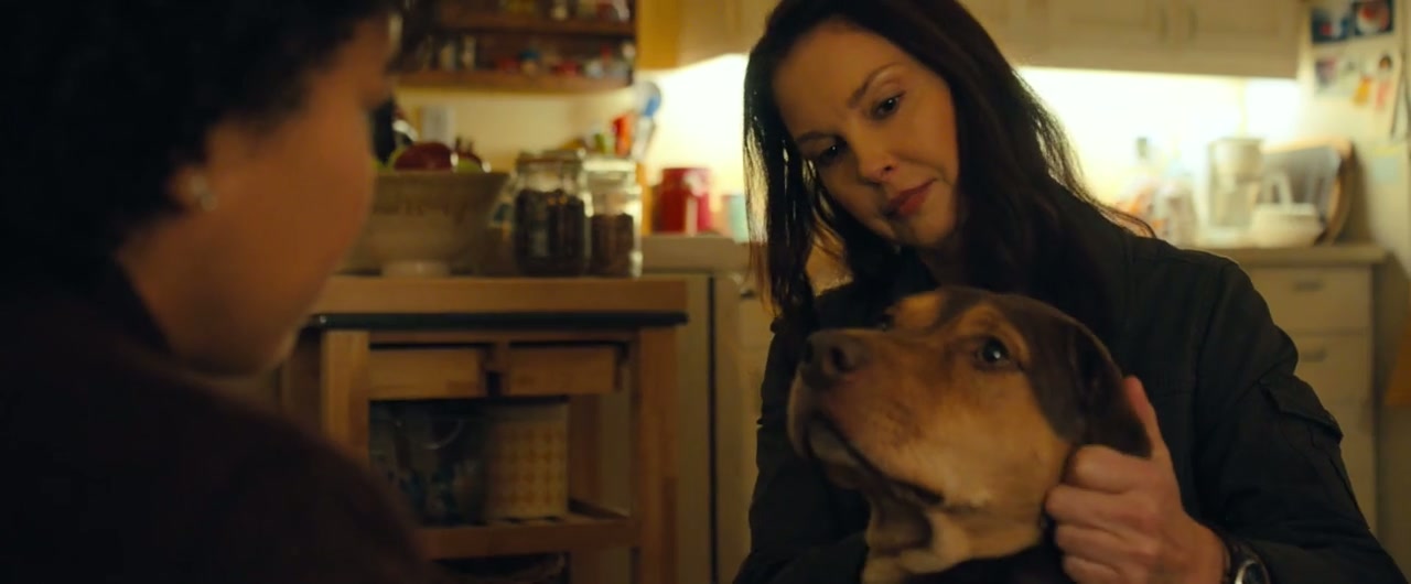 A Dog's Way Home Screenshot