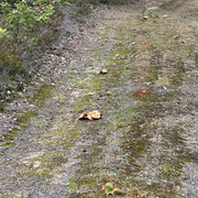 IMG 5771