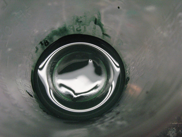 IMG 3116.jpg